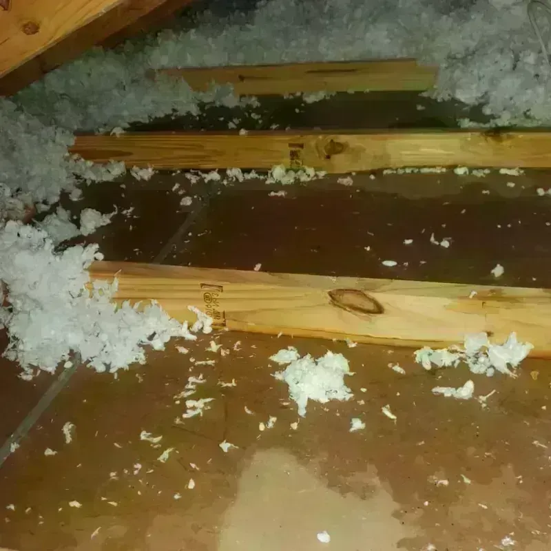 Attic Water Damage in Glencoe, AL