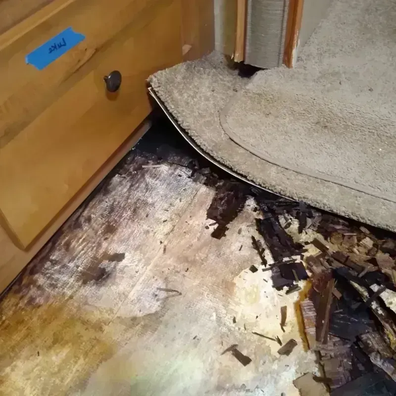 Best Wood Floor Water Damage Service in Glencoe, AL